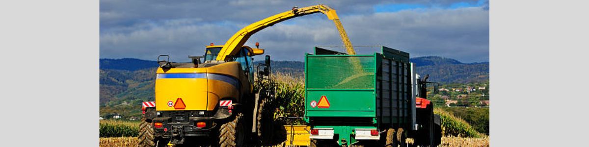 How Silage Is Made, Silage for Dorper Sheep