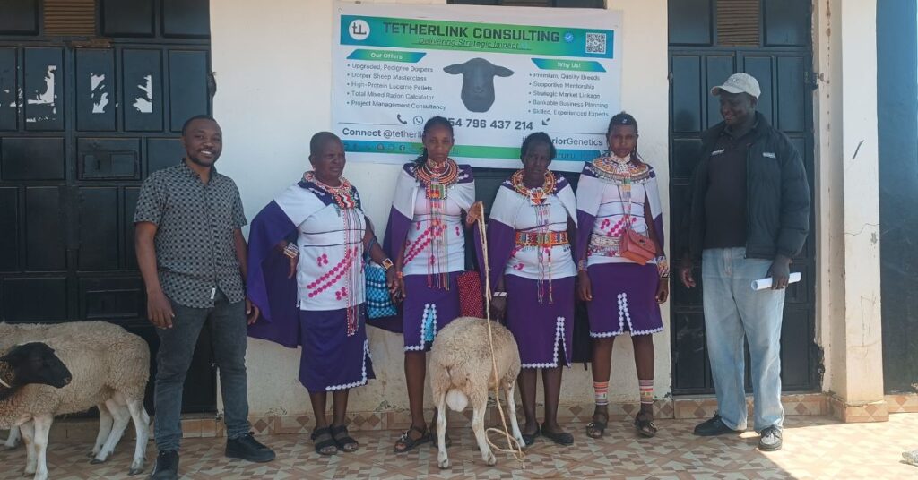 Empowering Local Dorper Sheep Farmers